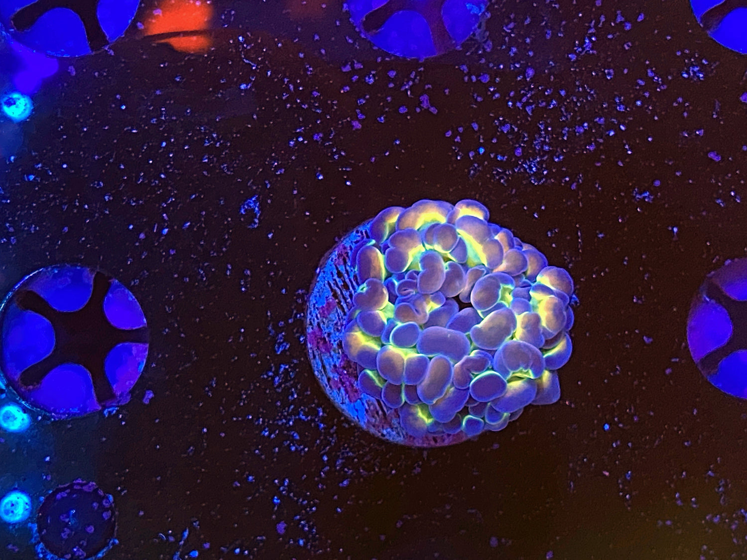 Hologram hammer