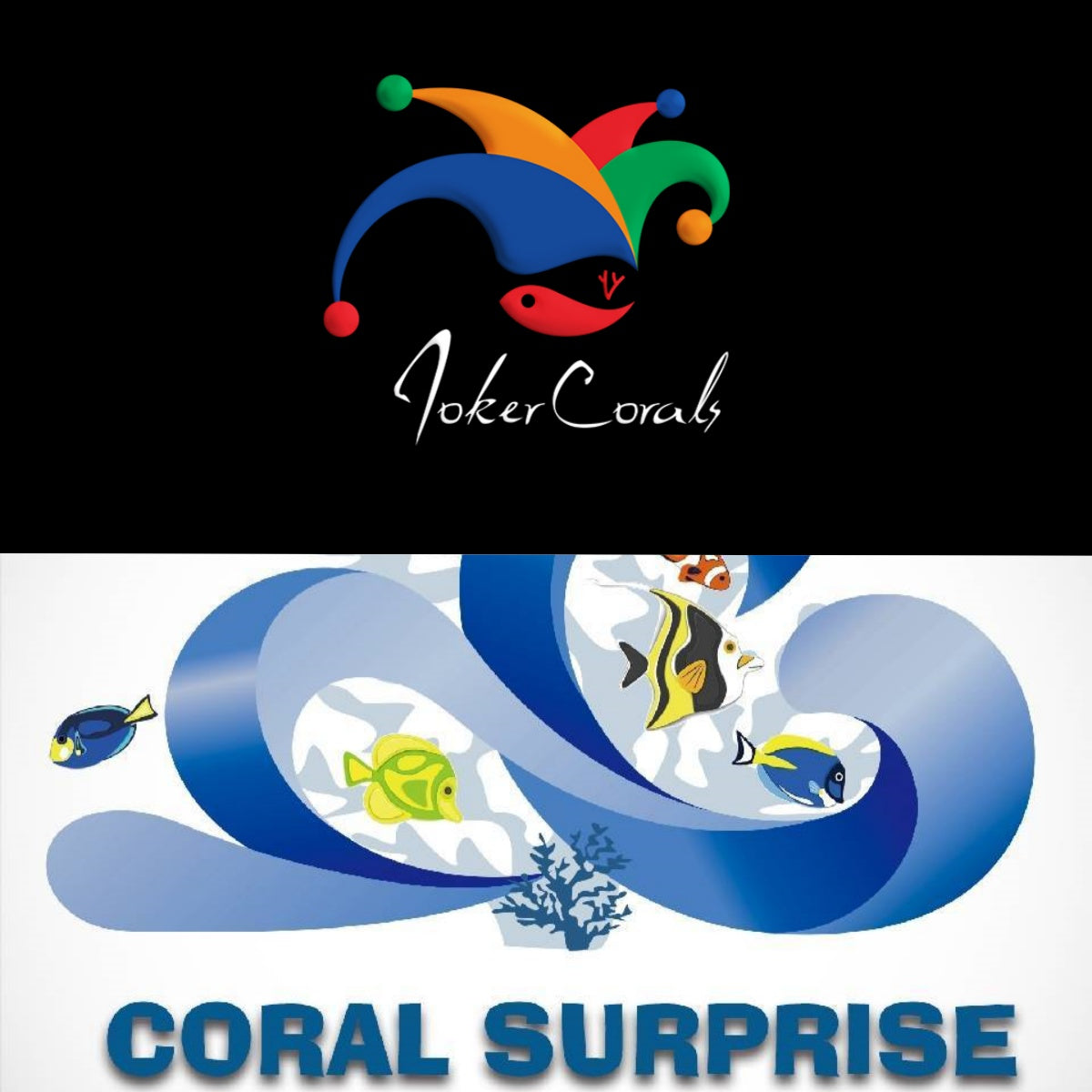 Joker Corals/Coral Surprise